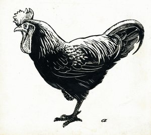 The Hen, 1950-tallet (skrapebrett) av George Adamson