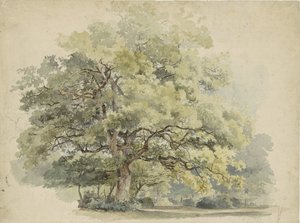 Trestudie av George Andries Roth