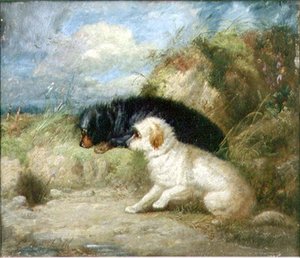 Terrier ved et kaninhull