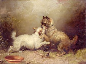 Stridens bein av George Armfield