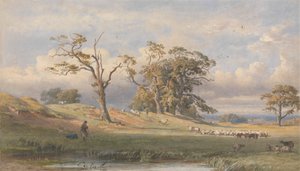 Old British Camp i Bulstrode Park