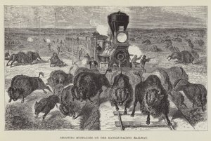 Å skyte bøfler på Kansas-Pacific Railway av George Augustus Sala