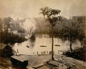 Stern-Wheeler ankommer Silver Springs, Florida, etter et løp over St. John..., 1886.