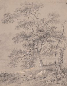 Trestudie av George Barret