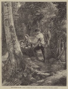 Kaninselgeren av George Bernard O