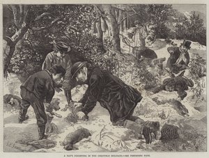 En dags frering i juleferien av George Bouverie Goddard