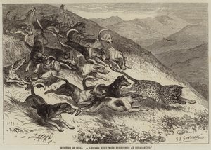 Jakt i India, en leopardjakt med revehunder ved Ootacamund av George Bouverie Goddard
