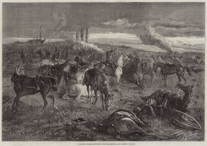 Rytterløse hester som svarer på Regimental Call etter en kamp