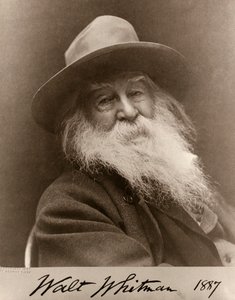 Portrett av Walt Whitman i 1887 av George C. Cox