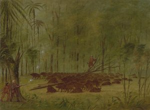 En kamp med peccaries - Caribbe, 18541869. av George Catlin
