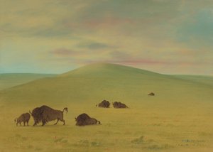 American Pasturage - Prairies of the Platte, 18611869. av George Catlin
