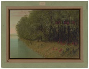 En Amazonasskog - Ser i land av George Catlin
