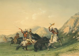 Angriper Grizzly Bear av George Catlin