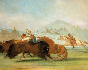  av George Catlin