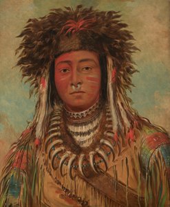  av George Catlin