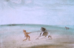 Å bryte ned den ville hesten av George Catlin