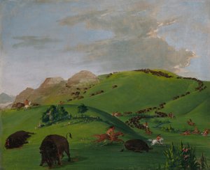  av George Catlin
