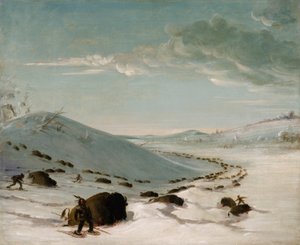  av George Catlin