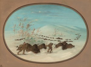 Buffalo Chase in the Snow Drifts - Ojibbeway, 18611869. av George Catlin