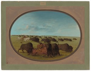 Buffalo Chase, med ulykker av George Catlin