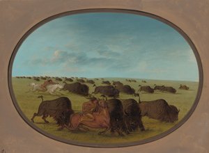 Buffalo Chase, med ulykker, 18611869. av George Catlin