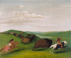  av George Catlin