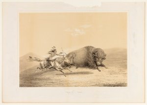  av George Catlin