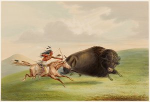  av George Catlin