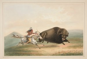 Buffalo Hunt, Chase, pl. 5 fra North American Indian Portfolio av George Catlin