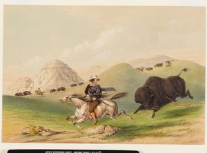 Bisonjakt, drevet tilbake av George Catlin