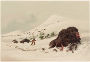  av George Catlin