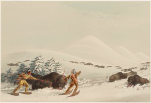 Bisonjakt på truger av George Catlin