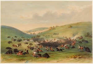 Bøffeljakt, omringing av George Catlin