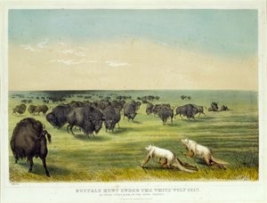 Bøffeljakt under den hvite ulveskinnet av George Catlin