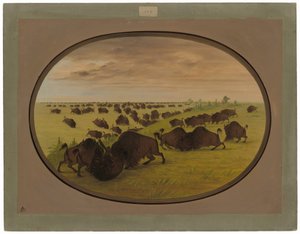 Okser som kjemper av George Catlin
