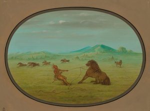 Prinderea cailor sălbatici - Pawnee, 18611869. norvegian av George Catlin