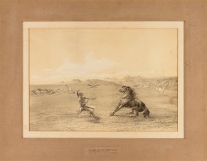  av George Catlin