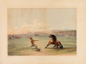  av George Catlin