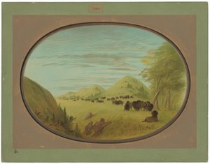  av George Catlin