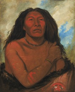  av George Catlin