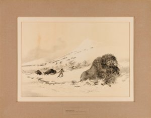  av George Catlin