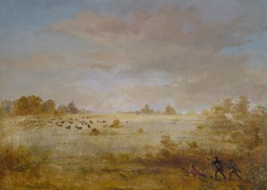  av George Catlin