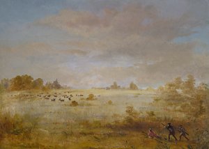 Elg beiter på en høstpræri, 1846-1848. av George Catlin