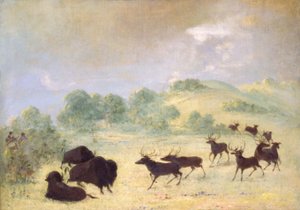  av George Catlin