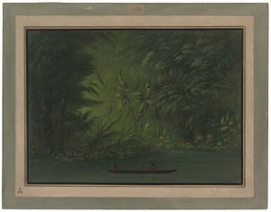 Inngang til en lagune, kysten av Amazonas av George Catlin