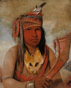 Jeg-an-be-w#39;ah-dick, hannreinsdyr, en modig av George Catlin