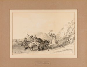  av George Catlin