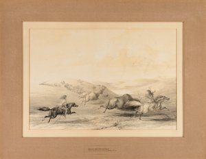  av George Catlin