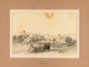  av George Catlin