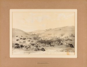  av George Catlin